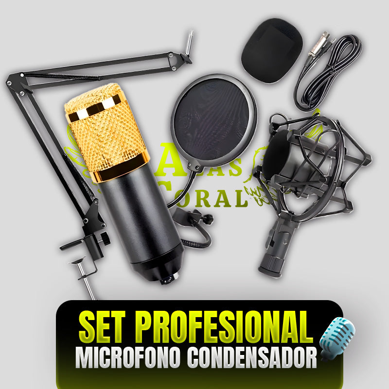 MICROFONO CONDENSADOR - SET PROFESIONAL