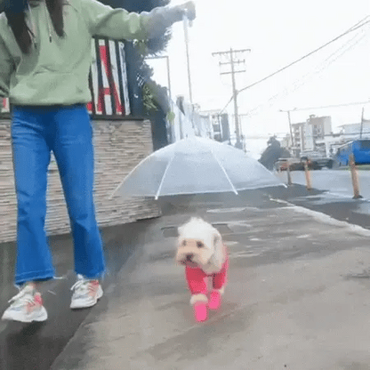 paraguas para mascotas