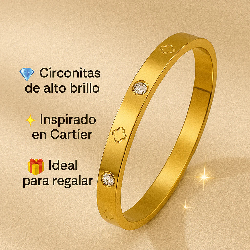 Brazalete Cartier Love Plano