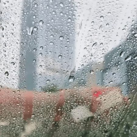 Cepillo limpiador de vidrio