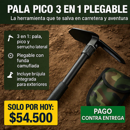 Pala pico