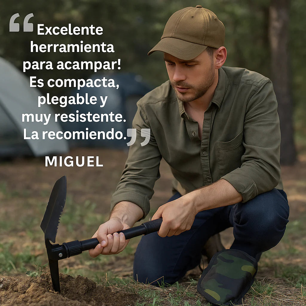 Pala pico