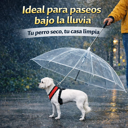 paraguas para mascotas