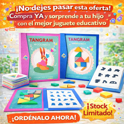 Tangram Magnetico En Libro Montessori