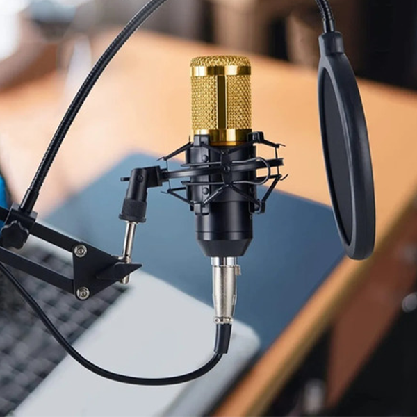 Micrófono Profesional Grabación Estudio Con Soporte De Mesa (incluye todo lo que está en la imagen)