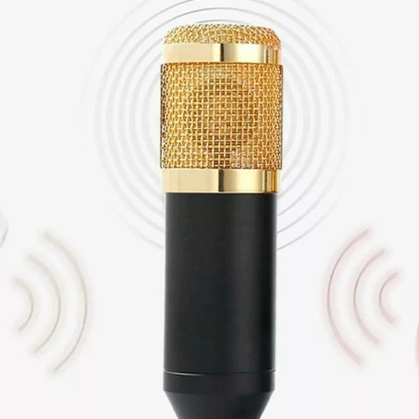 Micrófono Profesional Grabación Estudio Con Soporte De Mesa (incluye todo lo que está en la imagen)