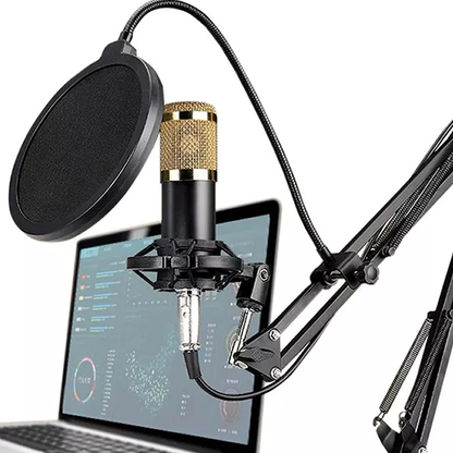 Micrófono Profesional Grabación Estudio Con Soporte De Mesa (incluye todo lo que está en la imagen)