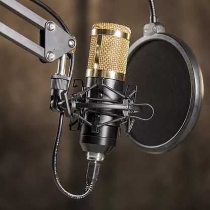 Micrófono Profesional Grabación Estudio Con Soporte De Mesa (incluye todo lo que está en la imagen)